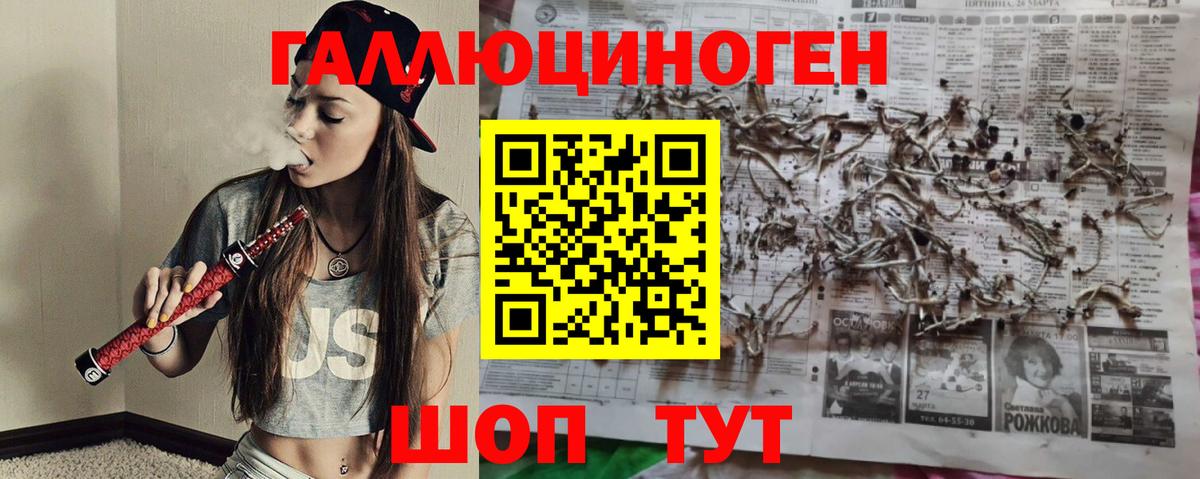 Татарск  Галлюциногенные грибы Psilocybine cubensis  Вход с VPN 